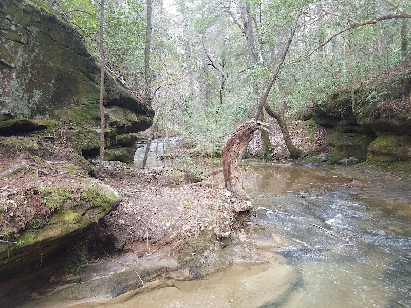 Waterfall Wonders at Fall Creek Falls - Fall Creek Falls
