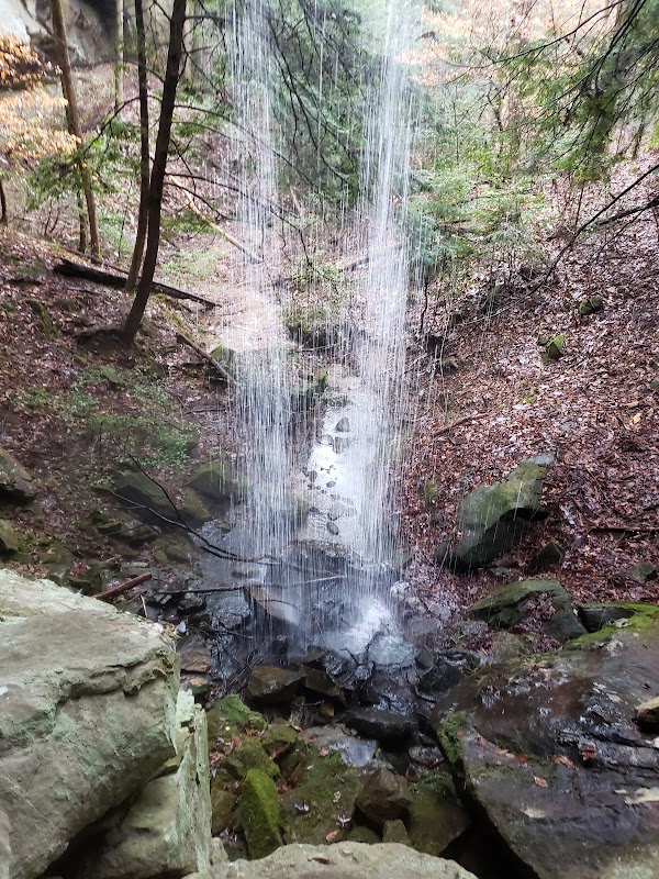 Waterfall Wonders at Fall Creek Falls surrounding landscape