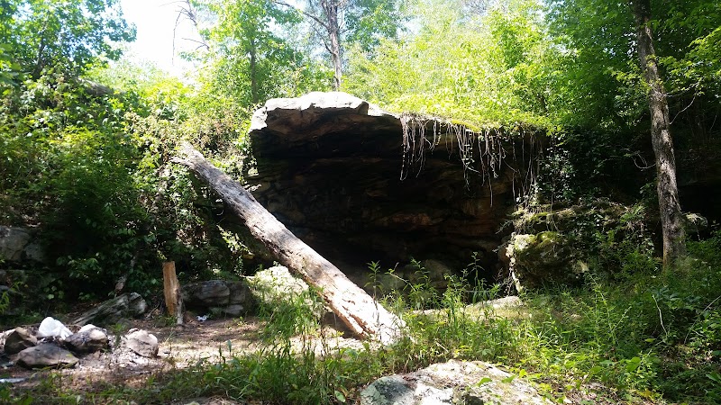 Waterfall Wonder at Mardis Mill Falls outdoor detail
