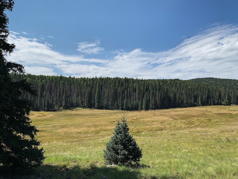 Discover the Majesty of Mount Baldy outdoor detail