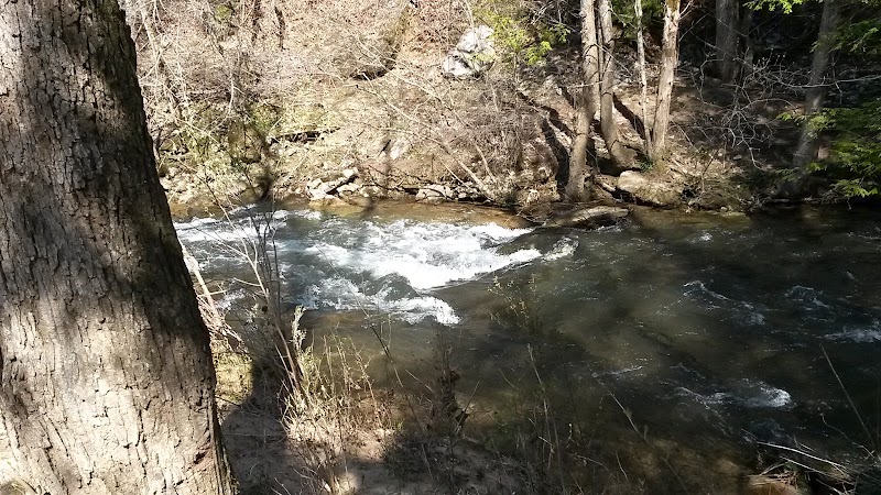 Discover Scott's Gulf: Natural Wonder in Tennessee surrounding landscape