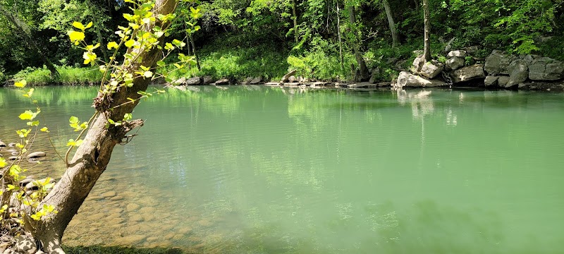 Discover Scott's Gulf: Natural Wonder in Tennessee - Scott's Gulf