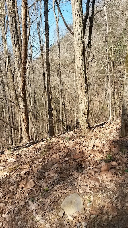 Discover Scott's Gulf: Natural Wonder in Tennessee outdoor detail