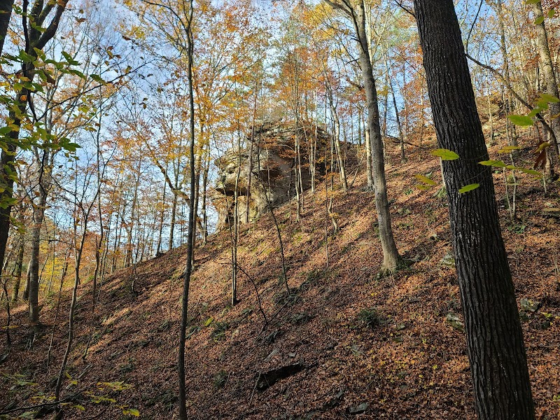 Twin Falls Wonder in Pettigrew, Arkansas outdoor detail