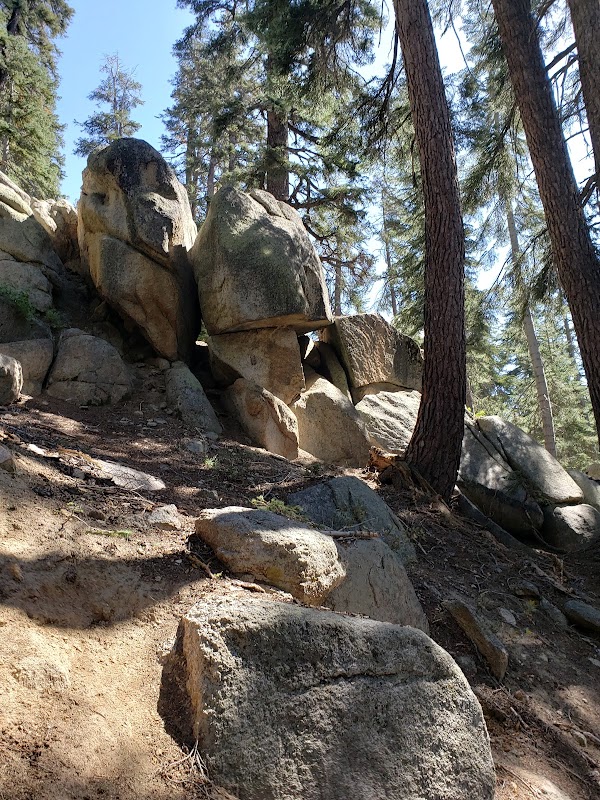 Majestic Giants of California: Giant Forest surrounding landscape