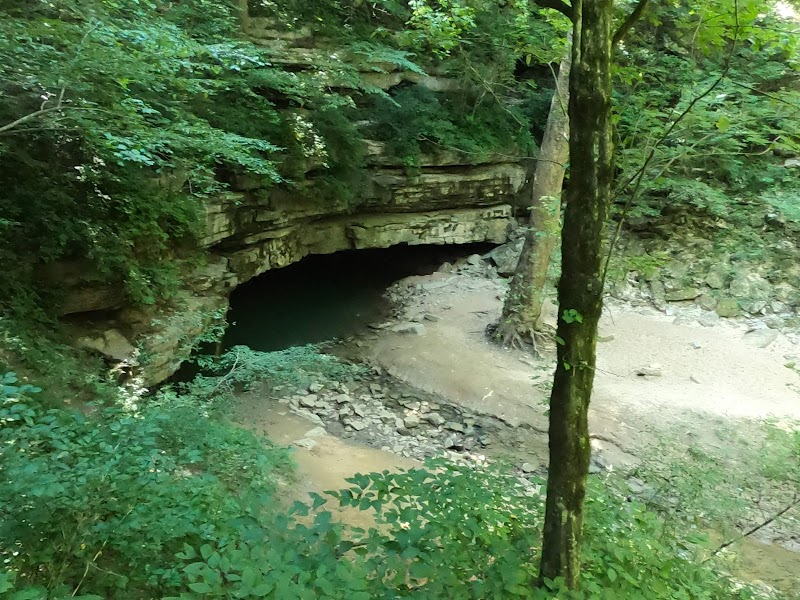 Journey into the Depths: Mammoth Cave surrounding landscape