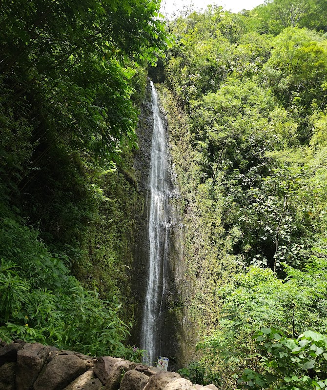Discover the Serenity of Manoa Falls - Manoa Falls