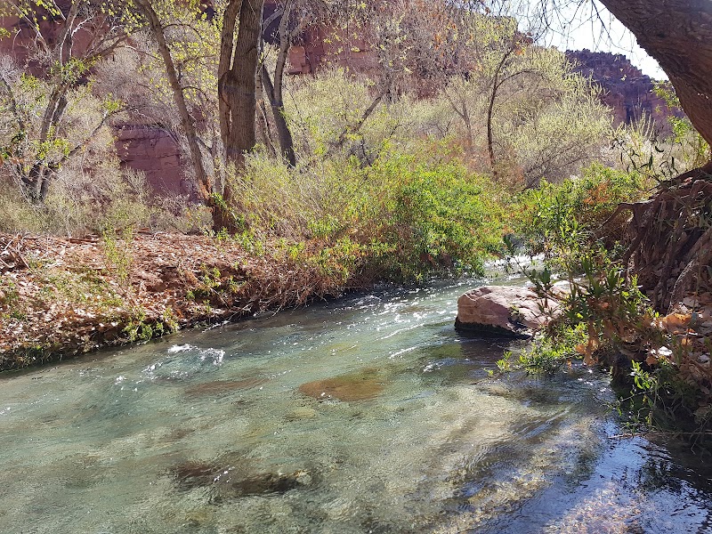 Cascading Beauty: Navajo Falls - Navajo Falls