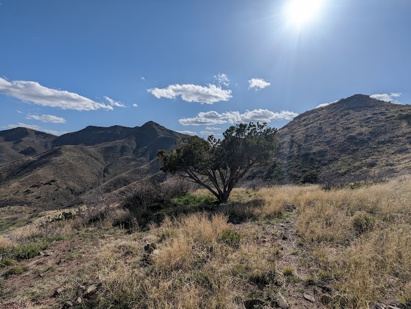 Discover the Majestic Reavis Falls - Reavis Falls