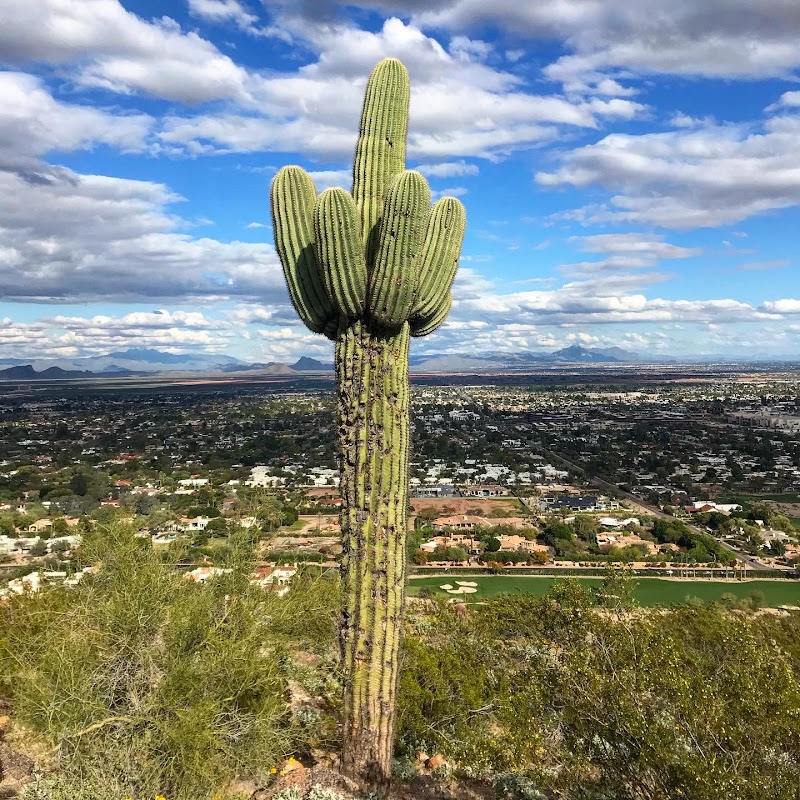 Camelback Mountain: A Phoenix Pinnacle - Camelback Mountain