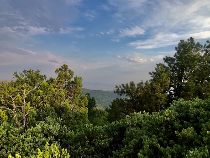 Exploring the Natural Beauty of the Pinal Mountains surrounding landscape