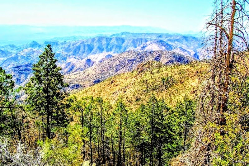 Exploring the Natural Beauty of the Pinal Mountains - Pinal Mountains
