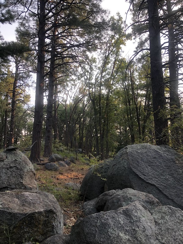 Exploring the Natural Beauty of the Pinal Mountains - Pinal Mountains