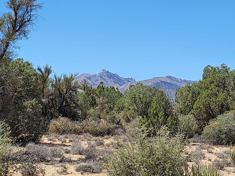 Exploring the Natural Wonders of Hualapai Mountains - Hualapai Mountains