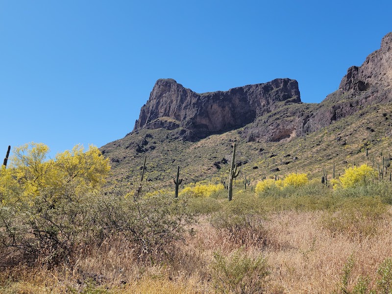 Discover Picacho Peak: Icon of Arizona - Picacho Peak
