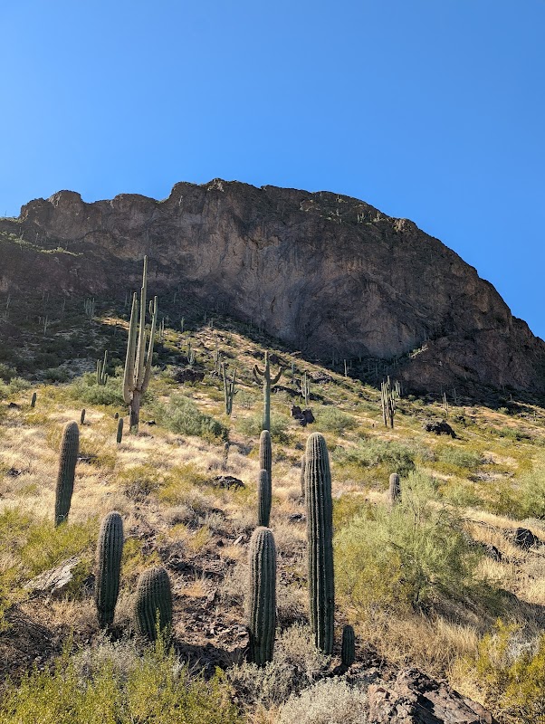 Discover Picacho Peak: Icon of Arizona surrounding landscape