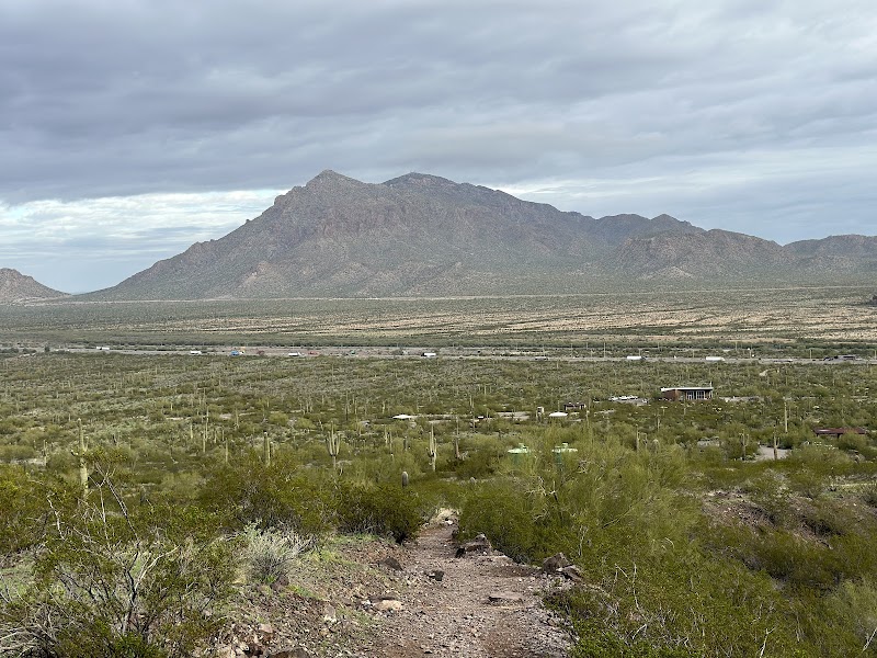 Discover Picacho Peak: Icon of Arizona outdoor detail