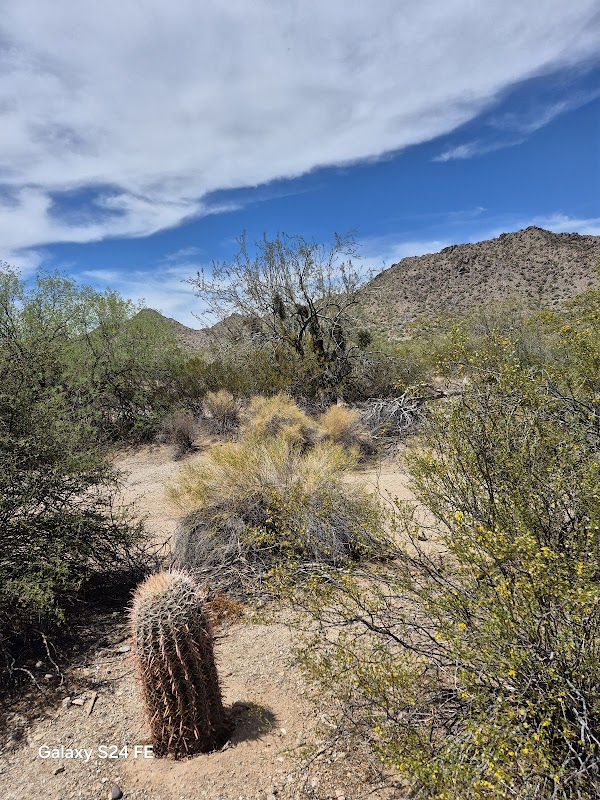 Desert Trails & Desert Tales: San Tan Mountain Regional Park surrounding landscape