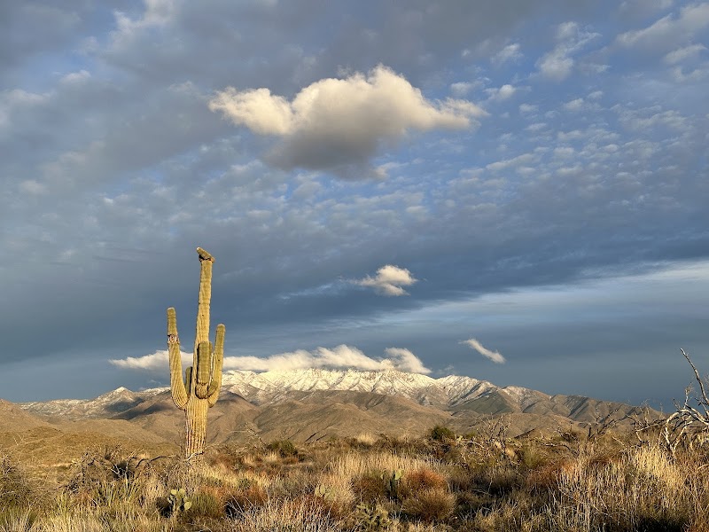 Discover the Majesty of Four Peaks, Arizona surrounding landscape