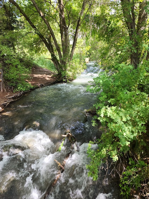 Waterfalls of Wonder: Rifle Falls State Park outdoor detail