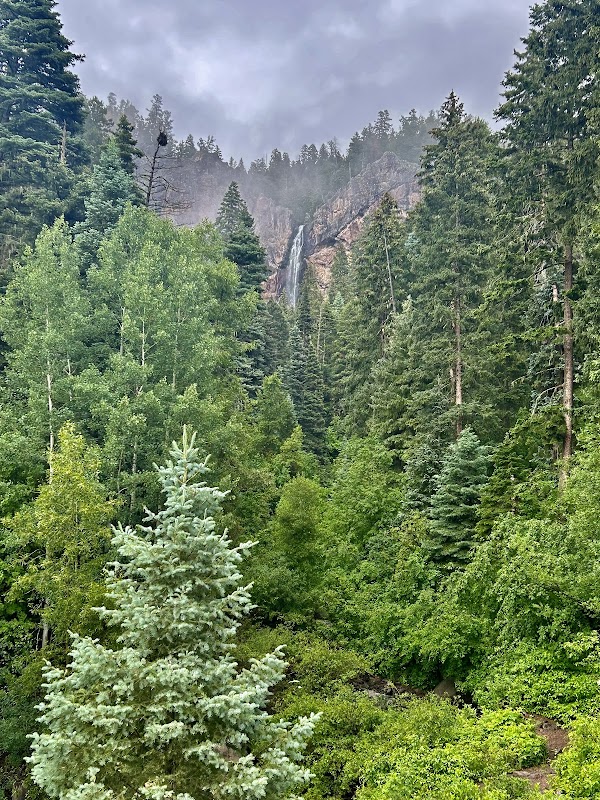 Chasing Waterfalls: Treasure Falls outdoor detail