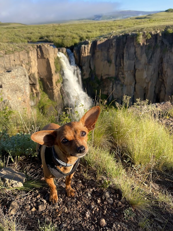 Breathtaking Views at North Clear Creek Falls surrounding landscape