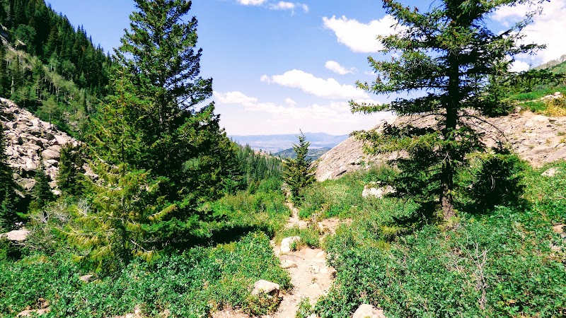 Charming Cascades: Fish Creek Falls, Colorado outdoor detail
