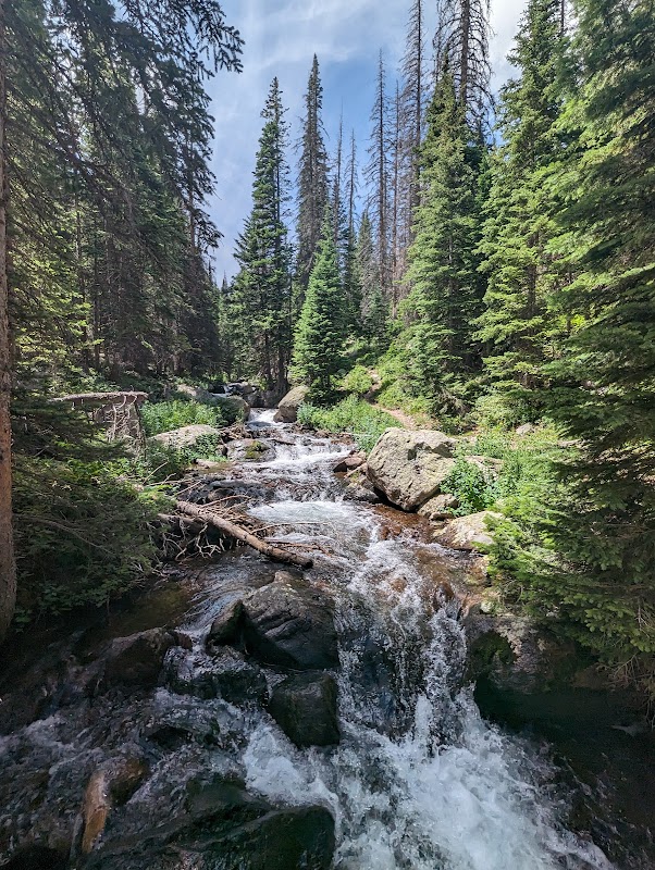 Captivating Cascades: Alberta Falls in Estes Park surrounding landscape