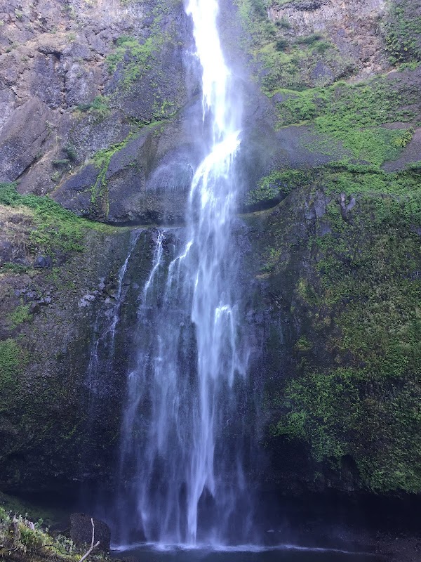 Waterfall Wonders: Lower Oneonta Falls outdoor detail