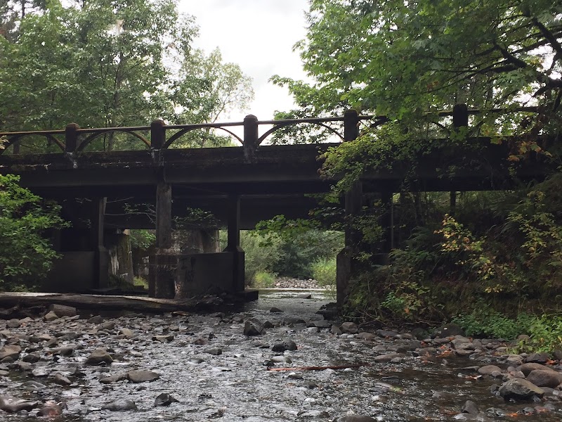 Waterfall Wonders: Lower Oneonta Falls surrounding landscape