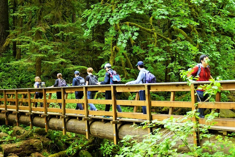 Triple Falls: A Serene Waterfall Adventure in Oregon surrounding landscape