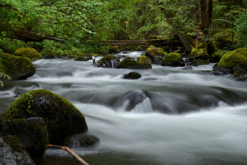 Majestic Beauty of Falls Creek Falls outdoor detail