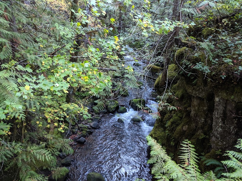 Majestic Beauty of Falls Creek Falls surrounding landscape