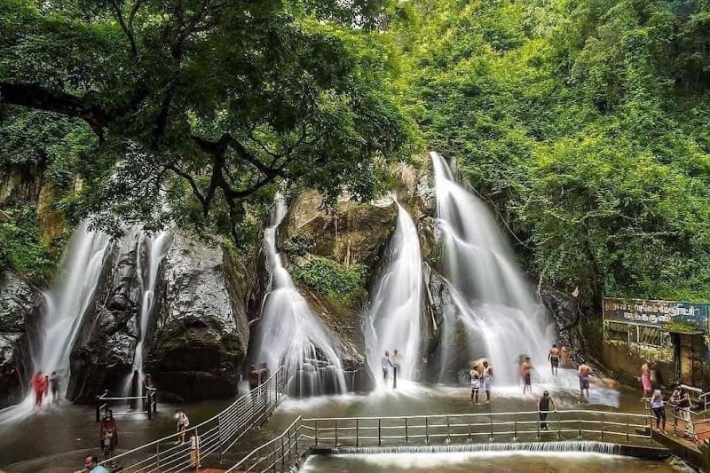 Waterfall Adventure at Courtallam Five Falls - Courtallam Five Falls