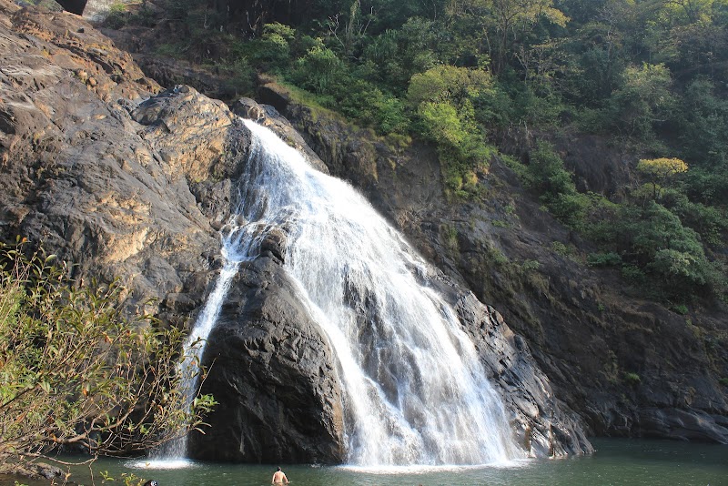 Waterfall Wonder of Goa: Dudhsagar Falls - Dudhsagar Falls