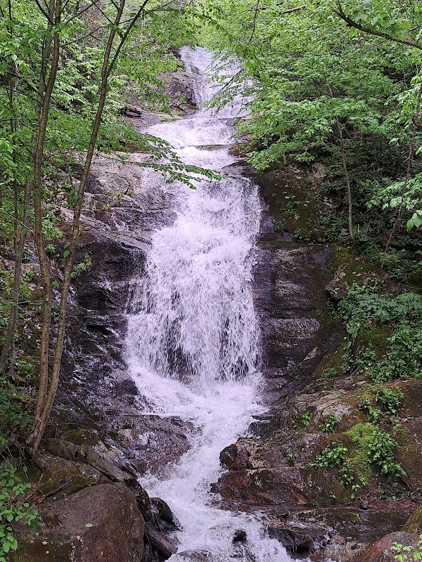 Nature’s Gem: Walker Falls outdoor detail