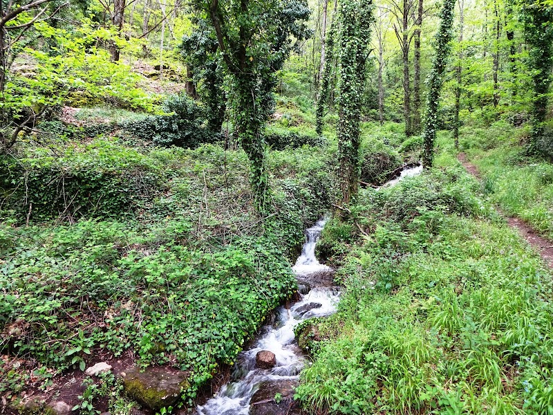 Cascada Bonal – A Natural Gem in Cáceres - Cascada Bonal