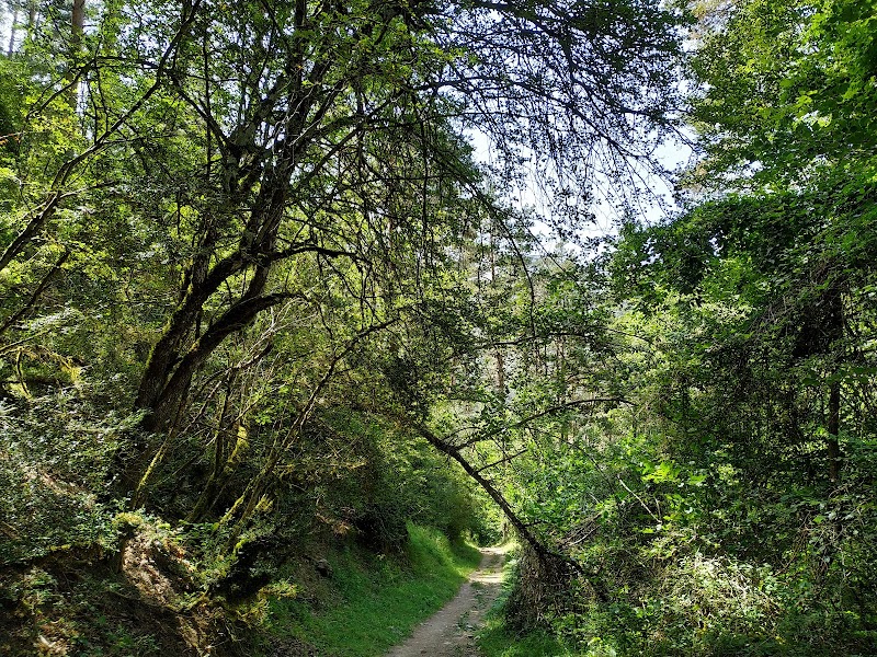 Waterfall Serenity: Belabarze in Navarre surrounding landscape