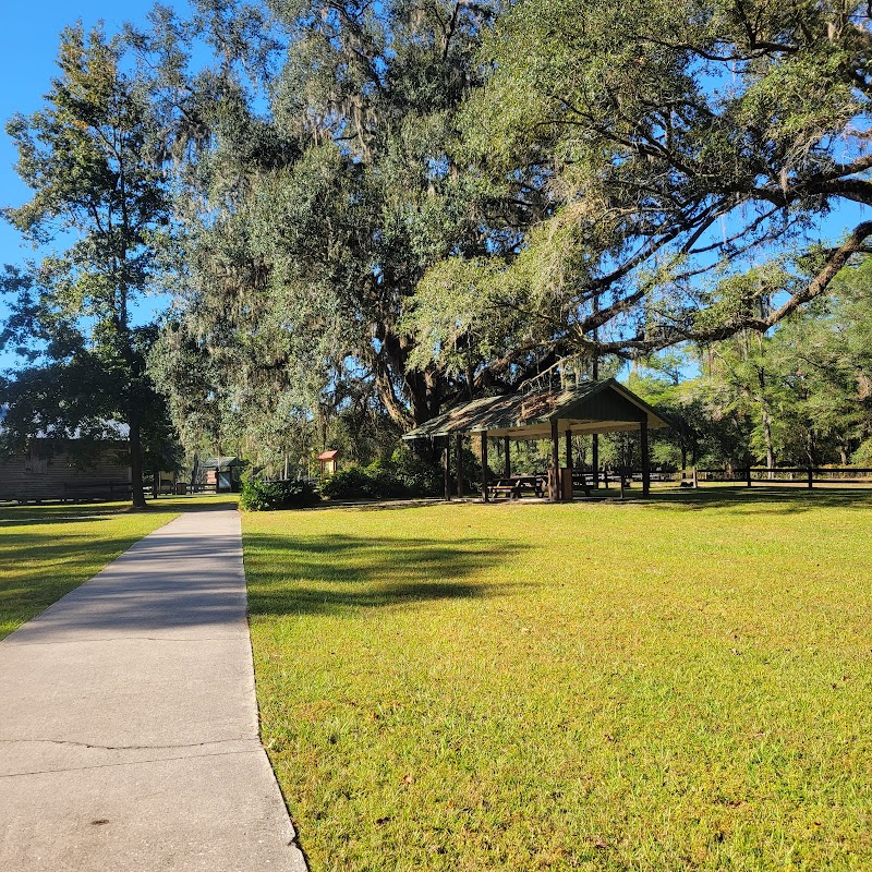 Falling Creek Falls: Nature's Tranquil Gem in Florida outdoor detail