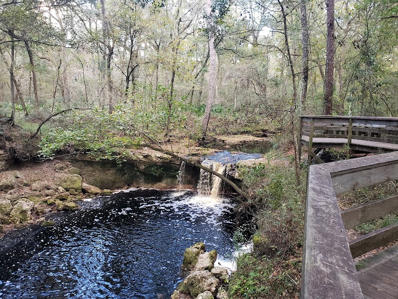 Falling Creek Falls: Nature's Tranquil Gem in Florida surrounding landscape