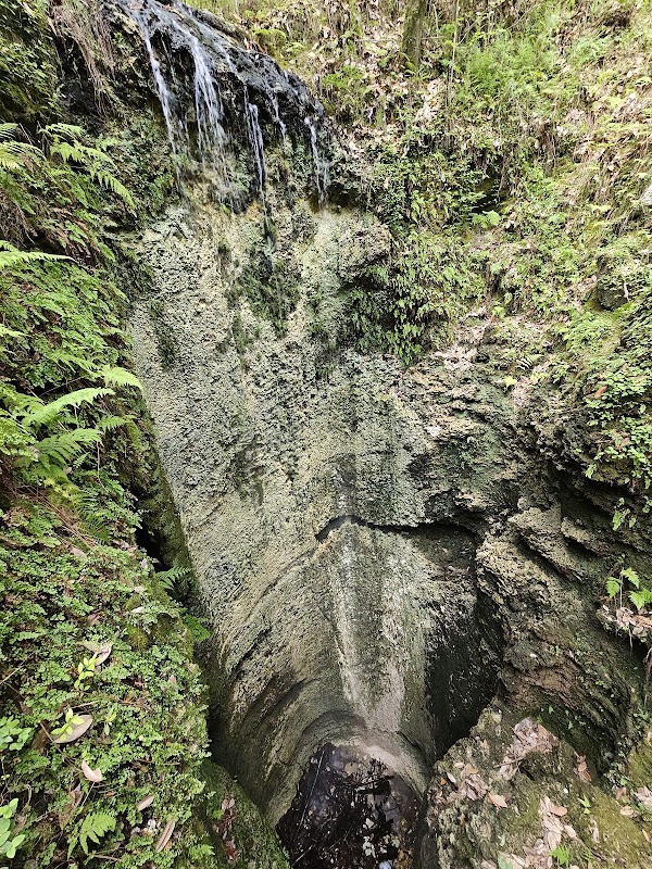 Falling Water - Falling Water