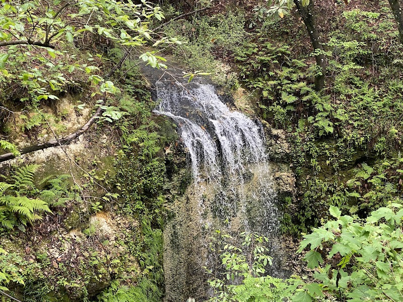 Falling Water - Falling Water
