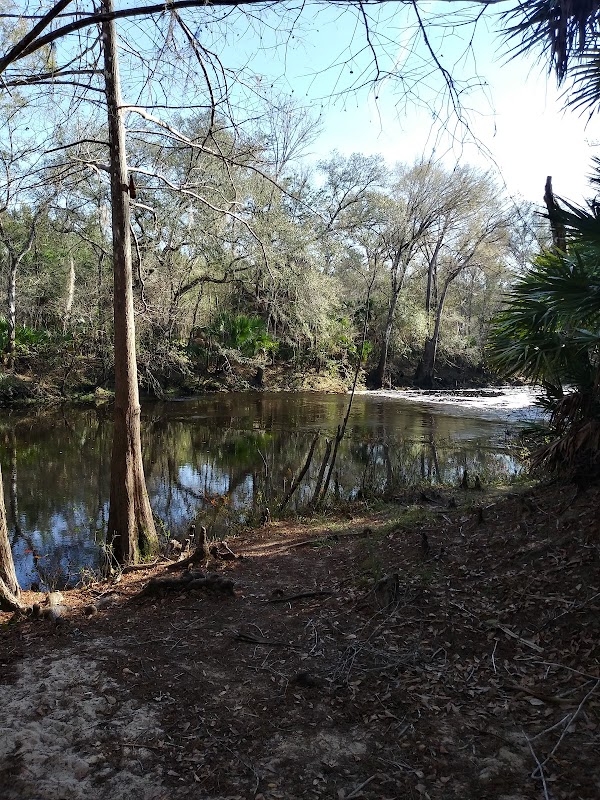 Experience Steinhatchee Falls: Florida's Hidden Gem - Steinhatchee Falls