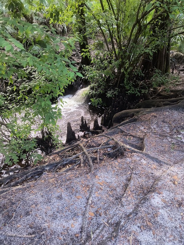 Discover the Serenity of Boonie Falls outdoor detail