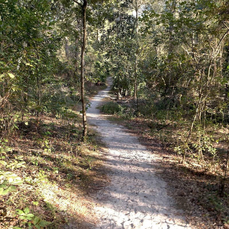 Exploring Hidden Waters Preserve's Enchanting Stream surrounding landscape