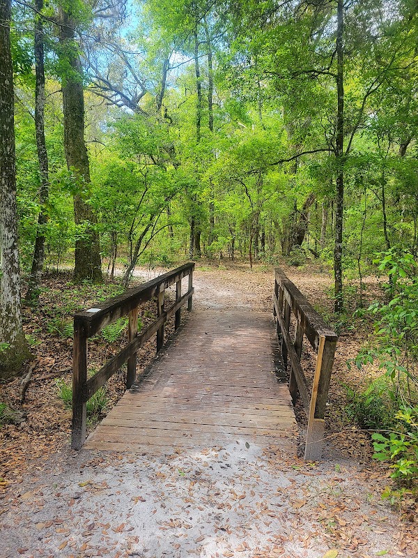 Riverside Adventure in Big Shoals outdoor detail