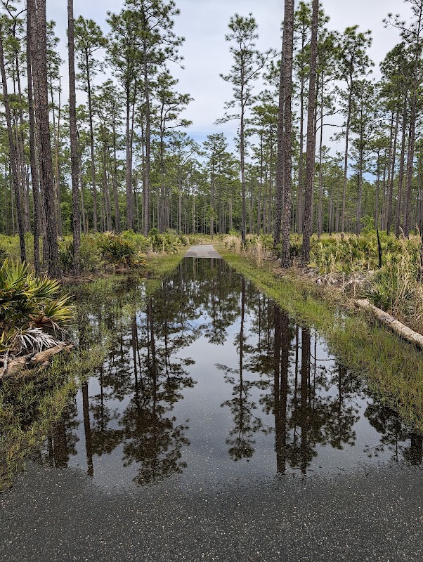 Riverside Adventure in Big Shoals surrounding landscape