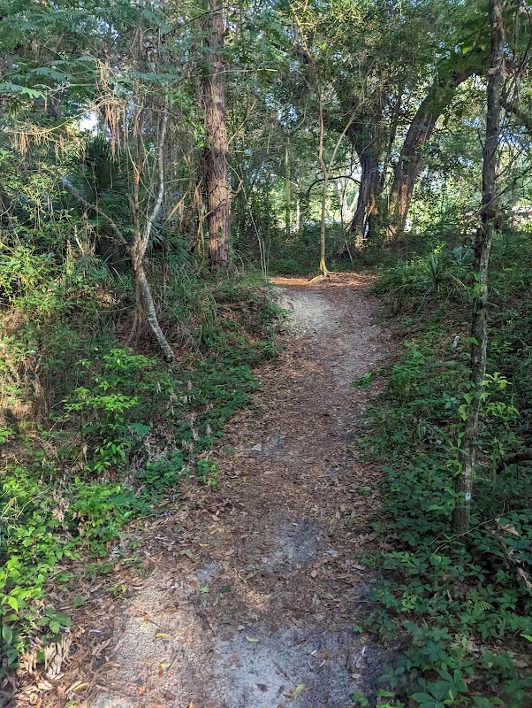 Waterfall Wonders at Bulls Bay Preserve outdoor detail