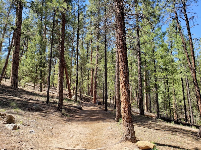Jemez Falls: A Hidden Gem in the Jemez Mountains outdoor detail