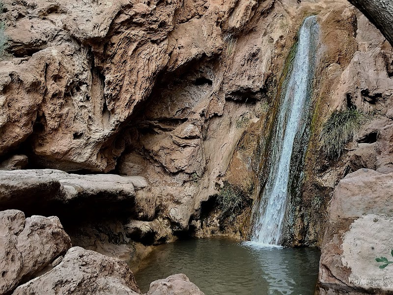 Aquatic Dwellings Waterfall - Aquatic Dwellings Waterfall